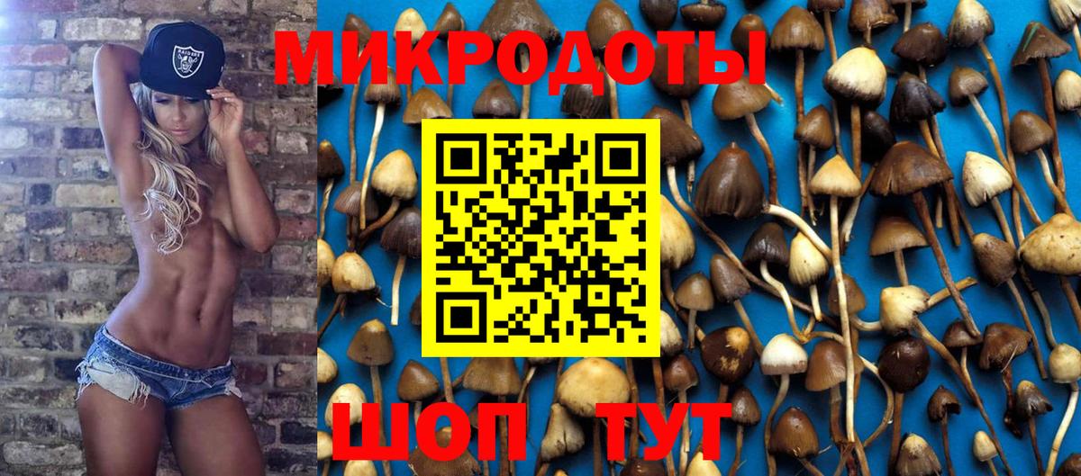 Псилоцибиновые грибы GOLDEN TEACHER Майский