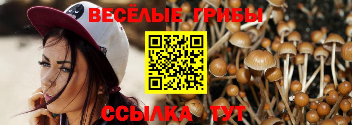 Майский  Псилоцибиновые грибы мицелий  продажа наркотиков  Вход с VPN  Галлюциногенные грибы мухоморы 